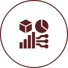Data / Business Analyst